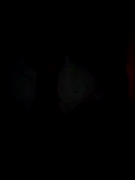 Chathutharu online show from February 20, 10:01 pm