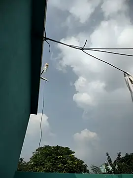 Odiya dick01 online show from October 24, 8:57 am