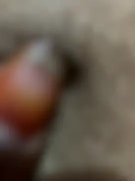 Telugu sex  online show from November 23, 1:48 am