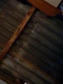 LUISSLEONN0958 online show from September 25, 9:04 am