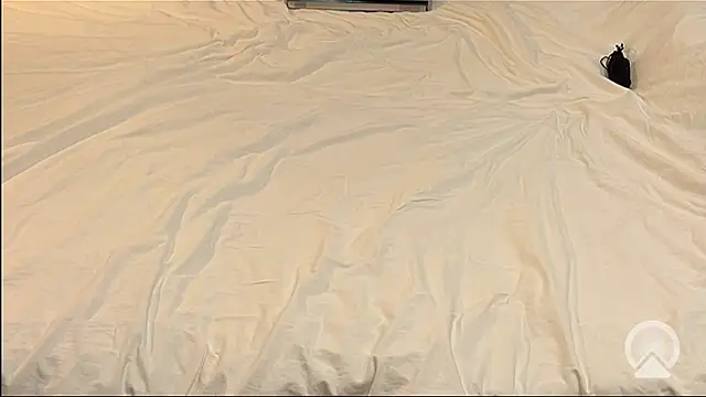 myPriority01 online show from January 9, 1:40 pm