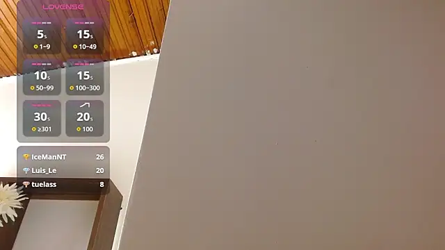 shelbygp online show from March 3, 11:39 am