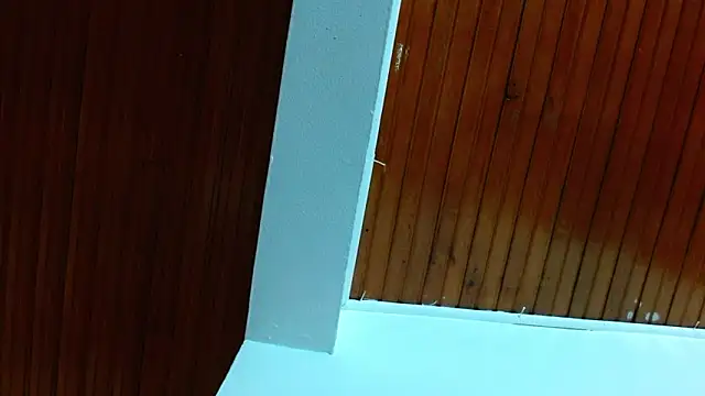 shelbygp online show from March 5, 11:51 am