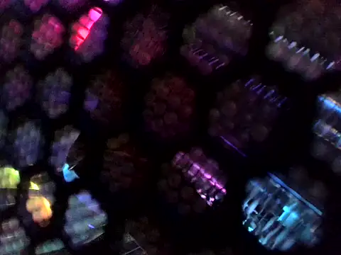 Wyrolowanyyy online show from April 15, 12:27 am