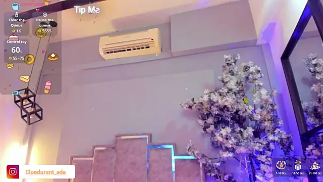 Cloedurant online show from January 11, 4:08 am