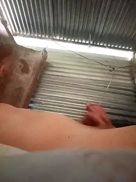 Franklin111230 online show from November 5, 12:19 pm