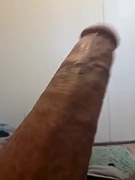 Snapshot of BooBooKittyFuhck chatting on November 5, 7:17 pm BooBooKittyFuhck online show from November 5, 7:17 pm