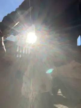 Snapshot of Mexxwell69 chatting on November 4, 11:47 am Mexxwell69 online show from November 4, 11:47 am