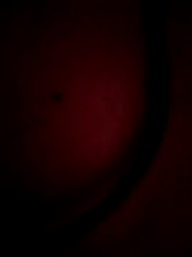 Snapshot of Nusrat-Q chatting on October 2, 6:06 am Nusrat-Q online show from October 2, 6:06 am