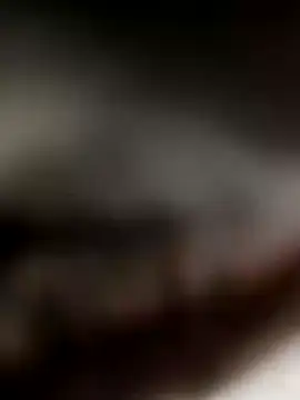 COme8989 online show from November 16, 4:17 am