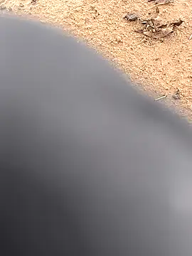 rajdehli online show from October 2, 10:51 am