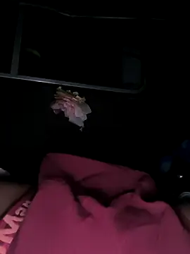 rajdehli online show from December 4, 4:06 pm