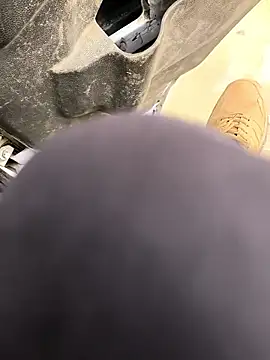 rajdehli online show from March 11, 6:40 am