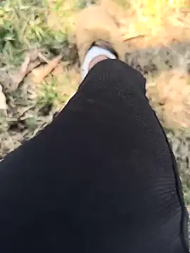 rajdehli online show from April 3, 5:58 am