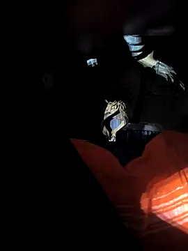 rajdehli online show from April 18, 5:04 pm