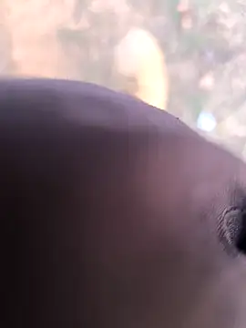 rajdehli online show from March 26, 12:03 pm