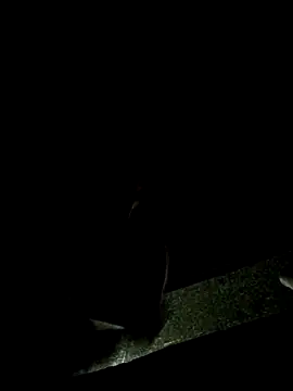 Snapshot of Lawrence067 chatting on November 4, 1:31 am Lawrence067 online show from November 4, 1:31 am