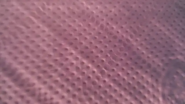 Liz Hu online show from October 9, 12:49 pm