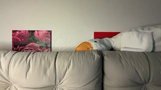 Snapshot of StellarAlice chatting on May 28, 8:26 pm StellarAlice online show from May 28, 8:26 pm