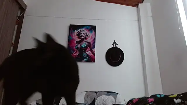 Crystal Star  online show from March 7, 12:54 pm