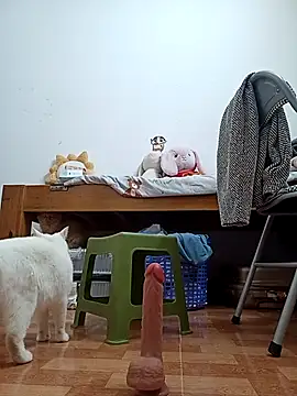 July-Asian online show from December 1, 12:44 am