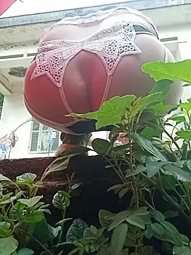 July-Asian online show from May 24, 12:54 am