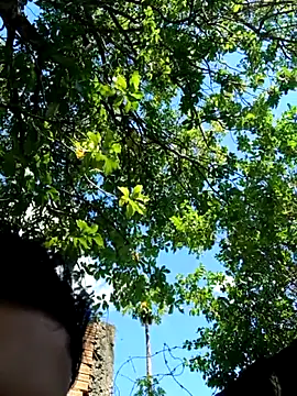 Snapshot of novinho_safado__ chatting on December 5, 5:55 pm novinho safado online show from December 5, 5:55 pm