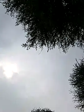 Desiandaj online show from November 28, 4:01 am