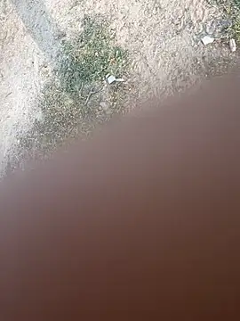 Desiandaj online show from November 26, 2:44 am