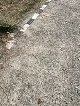 Desiandaj online show from November 30, 7:53 am