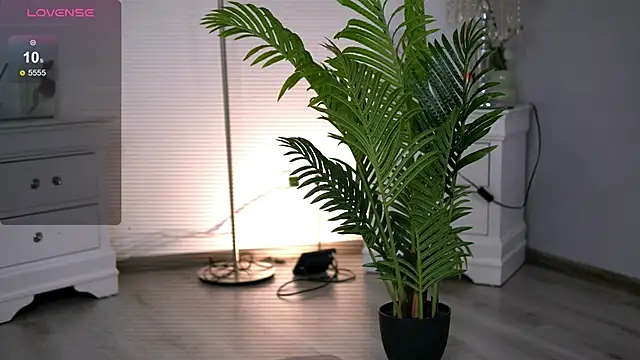 HotMollyX online show from January 11, 5:58 am