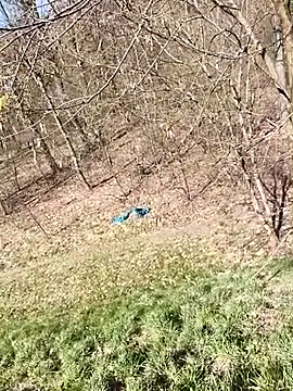 kot766 online show from April 7, 11:23 am