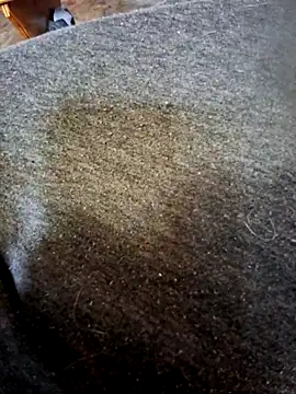 Duck135 online show from April 1, 11:55 am