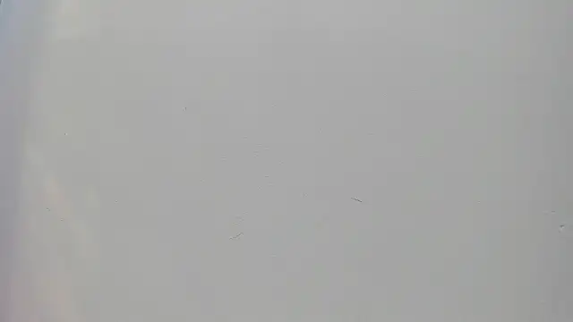 Saammy 17 online show from September 25, 8:26 pm