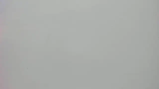 Saammy 17 online show from September 23, 8:27 pm