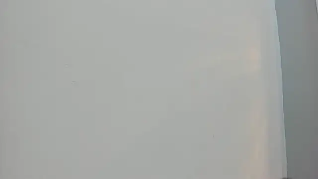 Saammy 17 online show from October 4, 8:10 pm