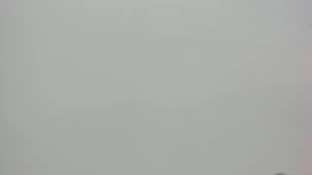 Saammy 17 online show from October 7, 8:10 pm