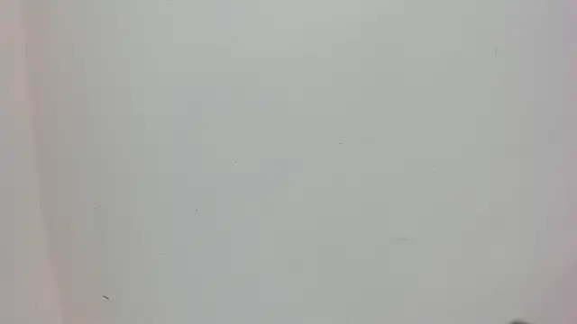 Saammy 17 online show from October 3, 7:59 pm