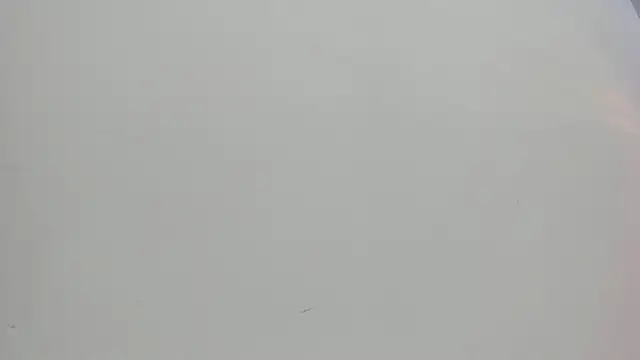 Saammy 17 online show from October 1, 8:02 pm