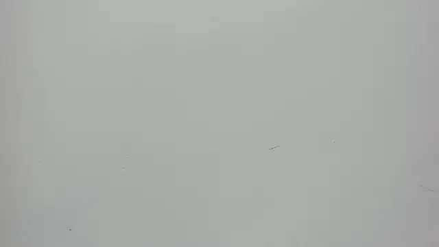 Saammy 17 online show from September 27, 8:15 pm