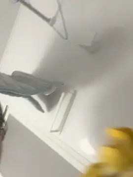 hiromu53 online show from December 5, 12:15 pm