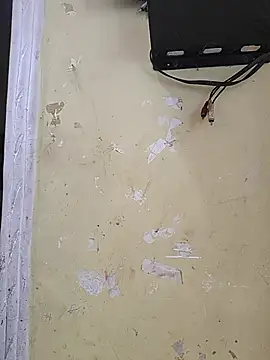 Cute plak02 online show from June 26, 4:51 am