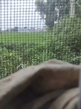 Cute plak02 online show from July 1, 5:41 am