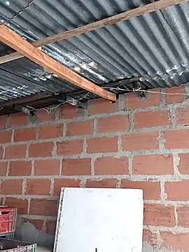 hoteder online show from December 2, 12:51 pm