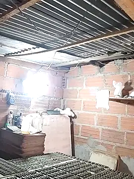 hoteder online show from December 18, 12:42 pm