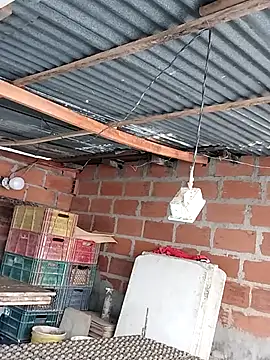 hoteder online show from December 4, 12:48 pm