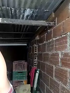 hoteder online show from February 12, 10:37 am