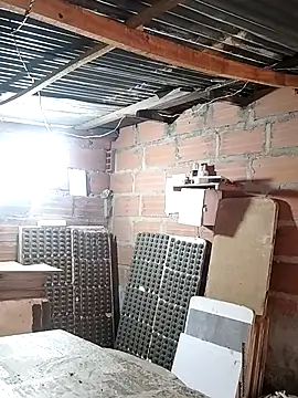 hoteder online show from January 14, 12:31 pm