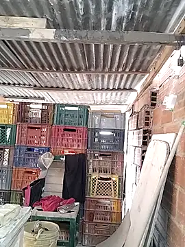 hoteder online show from February 10, 12:37 pm