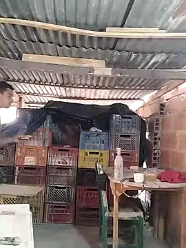 hoteder online show from March 24, 12:38 pm